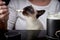 A Siamese cat in a woman`s arms is eating sour cream from a spoon