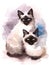 Siamese Cats Watercolor Hand Painted Pet Portrait Illustration