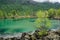 Siberia. Beautiful green fog lake in the forest. Buryatia