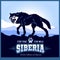 Siberia - a wolf on the background of the plain of Russian Siberia