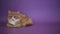 Siberian breed cat on a purple background.