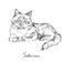 Siberian, cat breeds illustration with inscription, hand drawn doodle, sketch, outline black and white