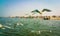 SIBERIAN GULLS (LARUS HEUGLINI) FLOCKING ABOVE THE GANGES RIVER IN THE HOLY CITY OF VARANASI, INDIA