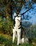 Siberian Husky, Adult Sitting on Grass