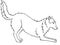 Siberian Husky, Alaskan Malamute. The dog is playing. Line drawing. For coloring