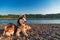 Siberian husky on the beach. Landscape of warm summer evening with beautiful husky dogs