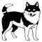 Siberian Husky. Black and white graphics. Logo design for use in graphics.