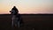 Siberian husky with blue eyes and gray white hair sits on the grass and looks into the distance at sunset