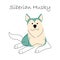 Siberian Husky . Cute dog cartoon characters . Flat shape and line stroke design .