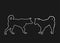 Siberian Husky dog couple in love, vector line contour silhouette illustration. Akita Inu breed. Beware of purebred, dog show