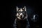 Siberian Husky Dog Dressed As A Scientist On Black Background
