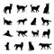 Siberian husky dog silhouettes, Dog silhouette collection, Dog silhouettes.