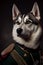 Siberian Husky dog wearing military army uniform, service dog, creative headshot portrait. Generative AI
