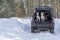 Siberian husky dogs jump out of the trunk of the car. Pets in the winter forest.