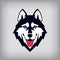 Siberian husky head logo or icon. Good-natured dog shows its tongue.