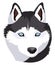 Siberian Husky illustration vector