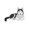 Siberian Husky lying, white and black purebred dog animal with blue eyes vector Illustration on a white background
