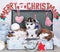 Siberian Husky puppies Christmas present