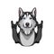 Siberian Husky with rock gesture, horns. Vector illustration.