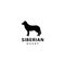 Siberian husky silhouette,animal design vector icon illustration