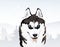 Siberian husky in the winter forest, illustration