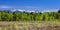 Siberian landscape with a view of the upper swamp, taiga and mountains in early summer on the coast of Lake Baikal