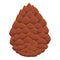 Siberian pine cone icon, cartoon style