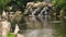 Siberian Sandhill Cranes Rest at Pond against Waterfall in Park