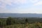 Siberian summer green forest. Krasnoyarsk region.