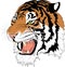 Siberian Tiger Head Illustration