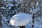 Siberian winter, snowmobile road in the forest.