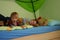 Siblings playing in the bedroom with their stuffed animals