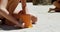 Siblings playing with sand in the beach 4k