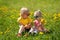 Siblings sitting in field with dandelions. Blonde children wearing sunglasses in meadow. Summer vacation time