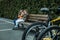 Siblings in sunglasses sitting on bench, bicycles standing on foreground