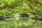 The Sicao Mangrove Green Tunnel