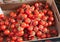 Sicilian box of bunches cherry tomatoes