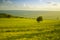 The sicilian landscape