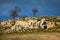 Sicilian landscape and house in the rock