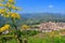 Sicilian village and flowers