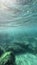 Sicily, Italy: Tyrrhenian sea coastal underwater photo showing bunch of fish against sun rays penetrating through surface of sea.