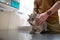 A sick cat of gray color of the Brin breed in the hands of the owner on examination in a veterinary clinic on the table