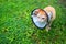 Sick cat in protective collar on green grass. Injured cat photo.
