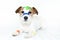 SICK AND CUTE DOG WITH COLORFUL MEDICAL PATCH FIRST AID BANDS PL