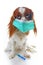 Sick dog puppy photo illustration. Animal pet doctor vet mask on puppy. Dog with injection vaccination. Animal pet dog