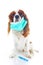 Sick dog puppy photo illustration. Animal pet doctor vet mask on puppy. Dog with injection vaccination. Animal pet dog