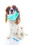 Sick dog puppy photo illustration. Animal pet doctor vet mask on puppy. Dog with injection vaccination. Animal pet dog