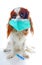 Sick dog puppy photo illustration. Animal pet doctor vet mask on puppy. Dog with injection vaccination. Animal pet dog