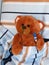 sick teddy bear with thermometer in bed