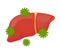 Sick unhealthy sad liver with hepatitis A.